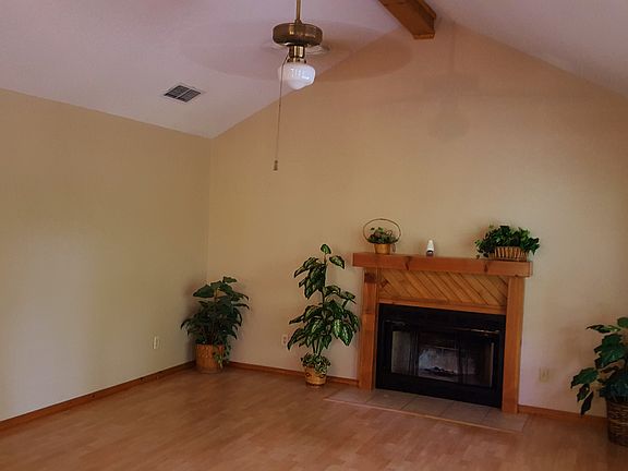 FIREPLACE/VAULTED CEILING