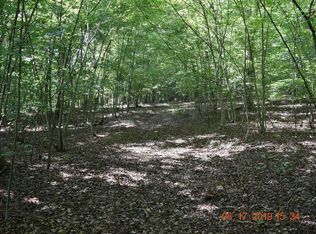 Pleasant Ridge Dr LOT 6, Wirtz, VA 24184