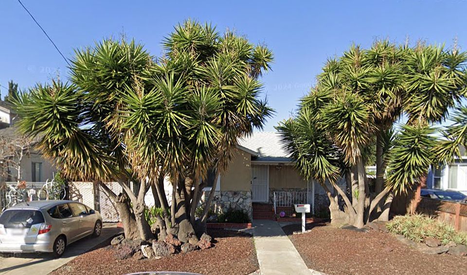 1st image of 438 Elsie Ave