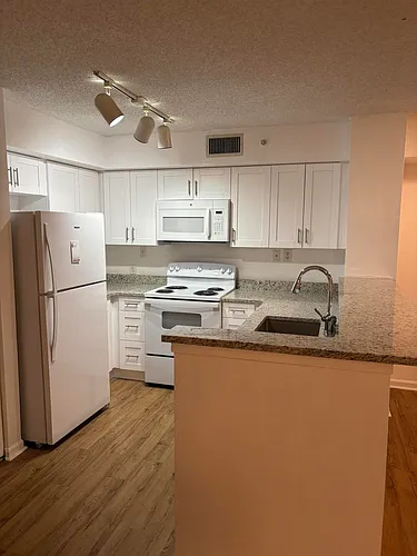 7808 Sonoma Springs Cir Photo 1