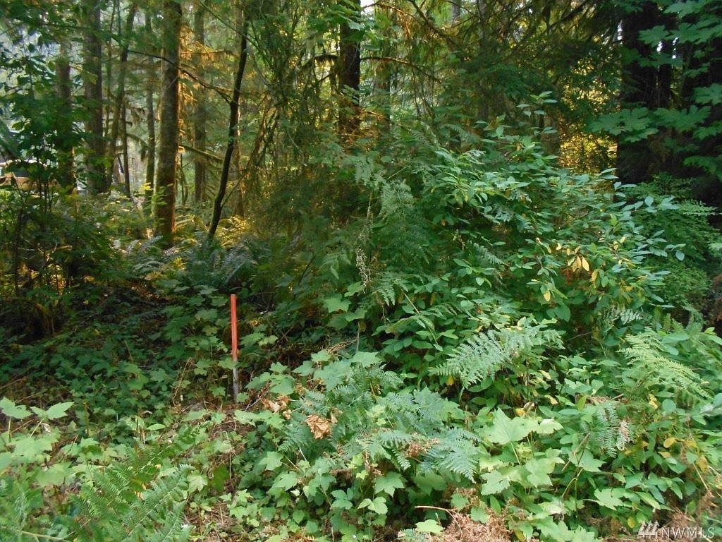 14004 Rd, Glacier, WA 98244 Zillow