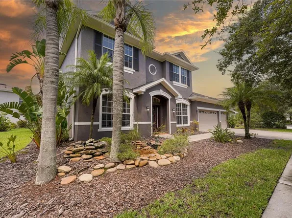 16111 Colchester Palms Dr, Tampa, FL 33647