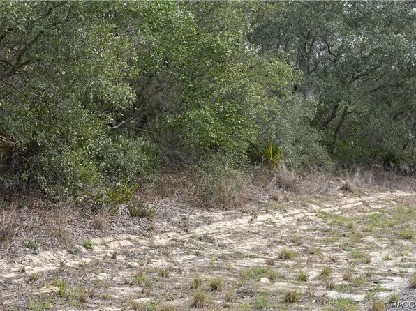 4461 W Thrush Dr, Citrus Springs, FL 34433