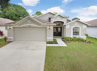 11108 Silver Dancer Dr, Riverview, FL 33579