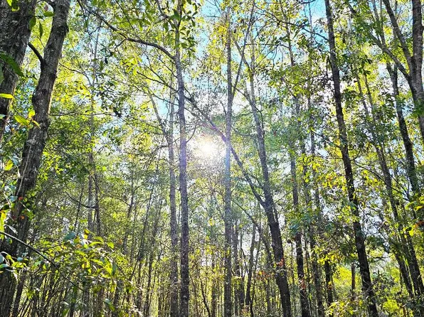 Tbd Nw Cr 143, Jennings, FL 32053