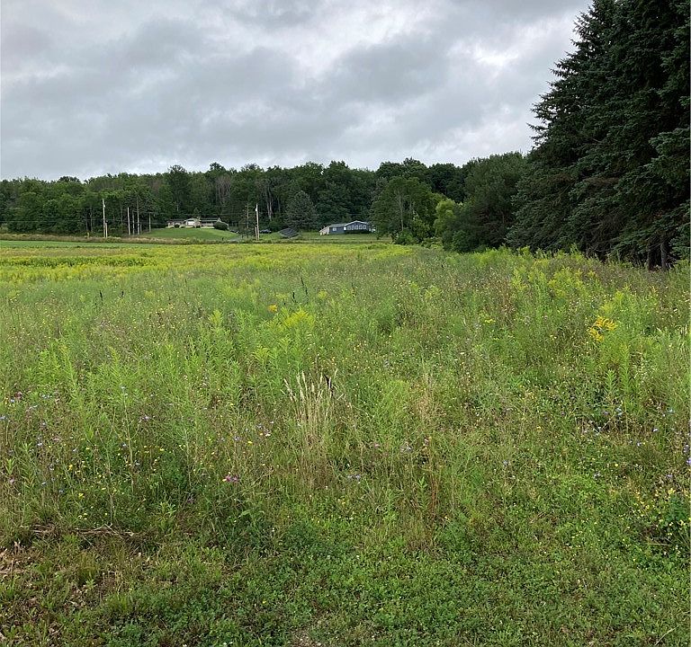 2nd image of 9027 Schuster Rd Lot 28