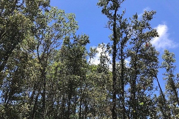 1st image of Makuu Dr Lot 966