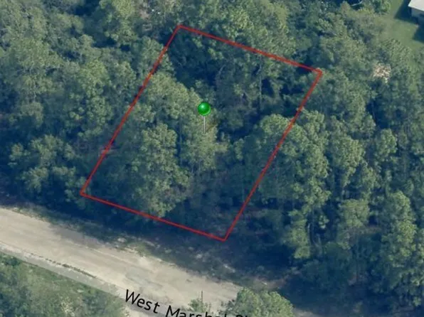 3495 W Marshal Pl, Dunnellon, FL 34433
