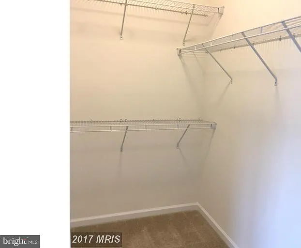 7419 Wild Honey Way — Photo 13