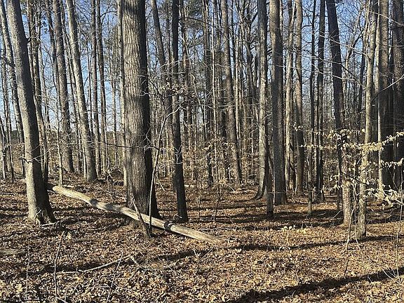 5th image of 0 Pierce Denny Rd