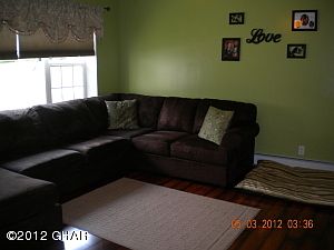 Designer Inspired Living Room