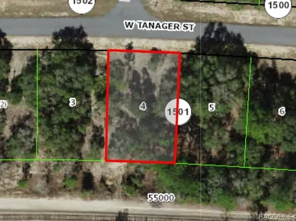 2654 W Tanager St, Citrus Springs, FL 34433