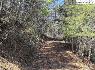 TBD Lot 30 Shawnee Trail, Jefferson, NC 28640