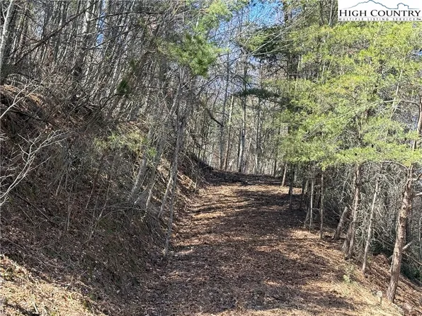 TBD Lot 30 Shawnee Trail, Jefferson, NC 28640