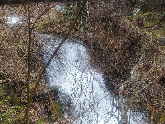 5th image of 480 Dunn Peak Rd