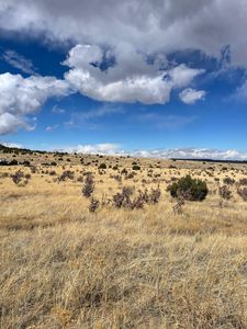 County Road 40, Trinidad, CO, 81082