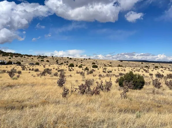 County Road 40, Trinidad, CO 81082