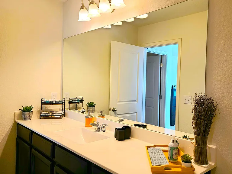 Private bathroom countertop