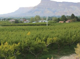 3639 E 1/4 Rd, Palisade, CO 81526