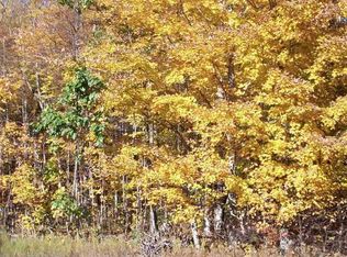 Bronson Lake Rd, Lake Ann, MI 49650