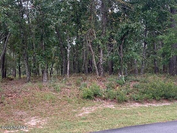 5th image of 3049 River Hills Drive SW LOT 50