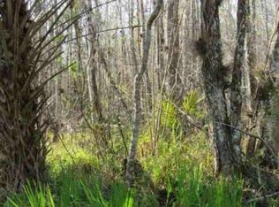 Blue Creek Rd LOT 4, Astor, FL 32102