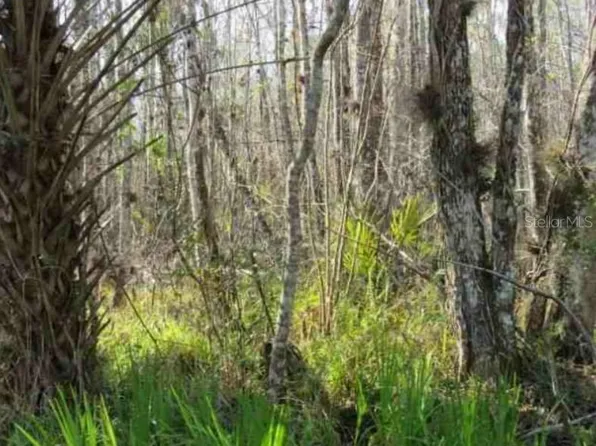 Blue Creek Rd Lot 4, Astor, FL 32102