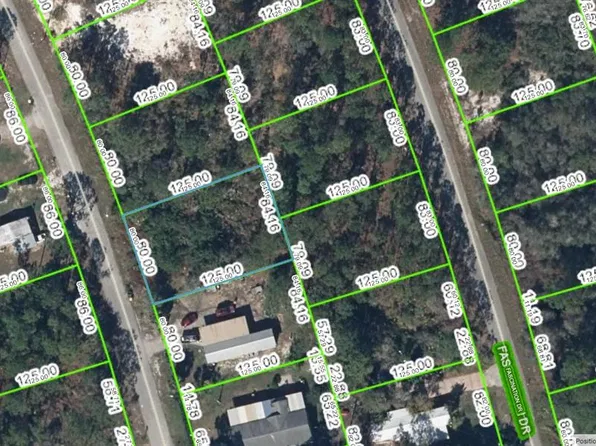 121 SUNFLOWER DRIVE LOT 6, LAKE PLACID, FL 33852