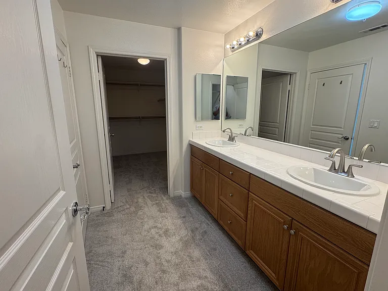 Master dual vanities