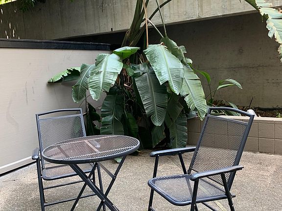4th image of 900 Bush St APT 112