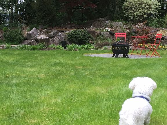 Pond and 12’ stone patio