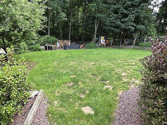 4th image of 468 W Clarkstown Rd