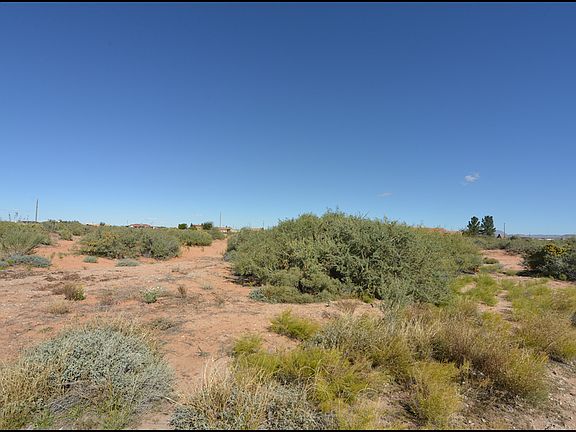 3rd image of 13961 Pinto Pony Ln