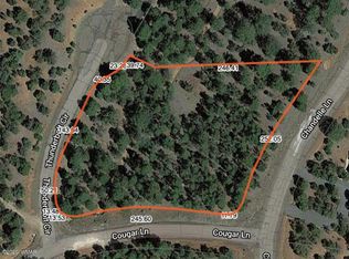 2833 Thunderbolt Cir #J, Overgaard, AZ 85933