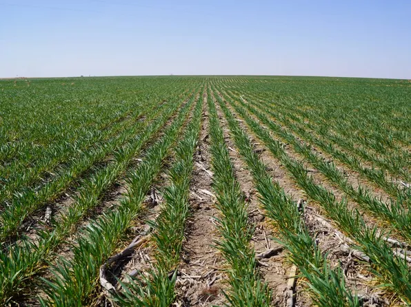 0 Highway 25a, Palisade, NE 69040