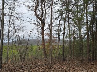 117 Scenic View Dr, Summerville, GA 30747