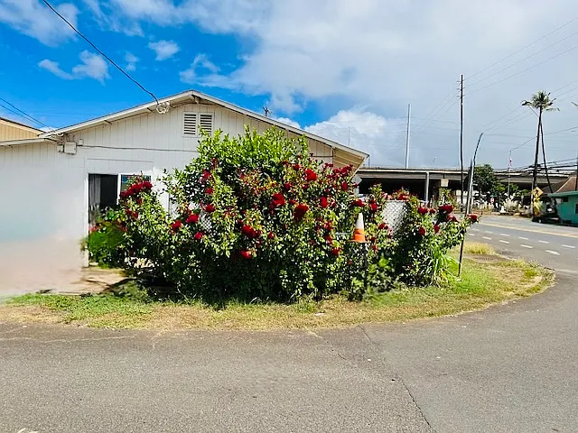Lehua Ave