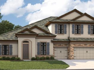 13486 Buffalo Mountain Ave, Riverview, FL 33579