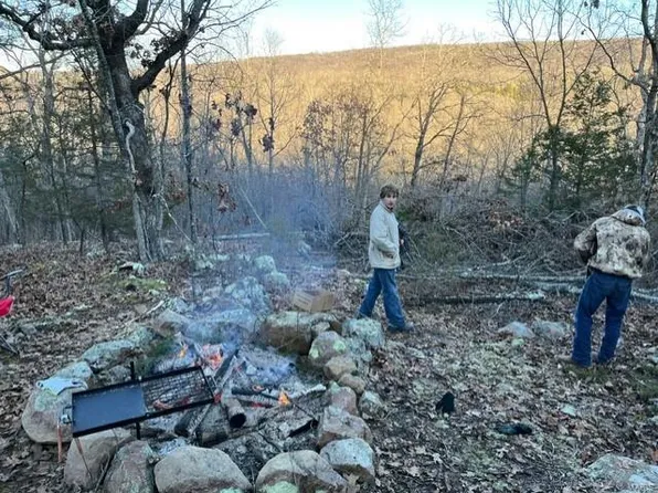 18 Simms Rd, Park Hills, MO 63601