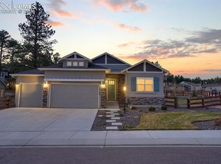 16386 Shadow Cat Pl, Monument, CO 80132