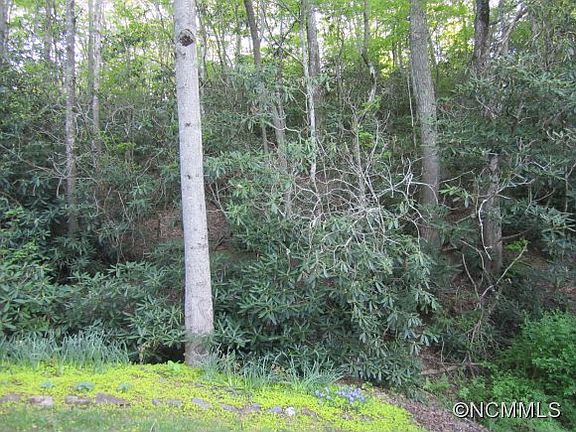 3rd image of 115 Fairway Dr
