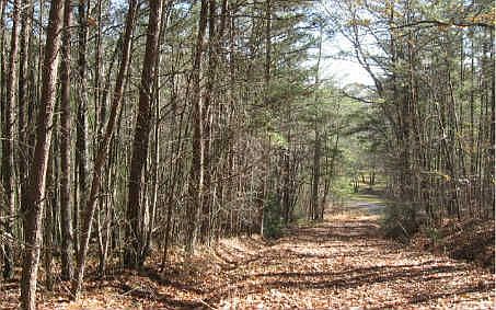 property is on both sides 