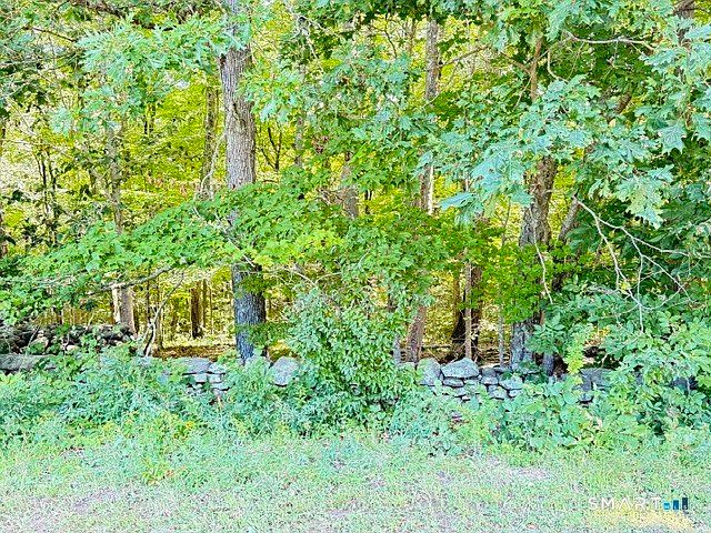 1st image of Beaver Dam Road
