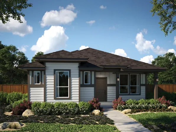 Buttercup Plan, Sage Hollow