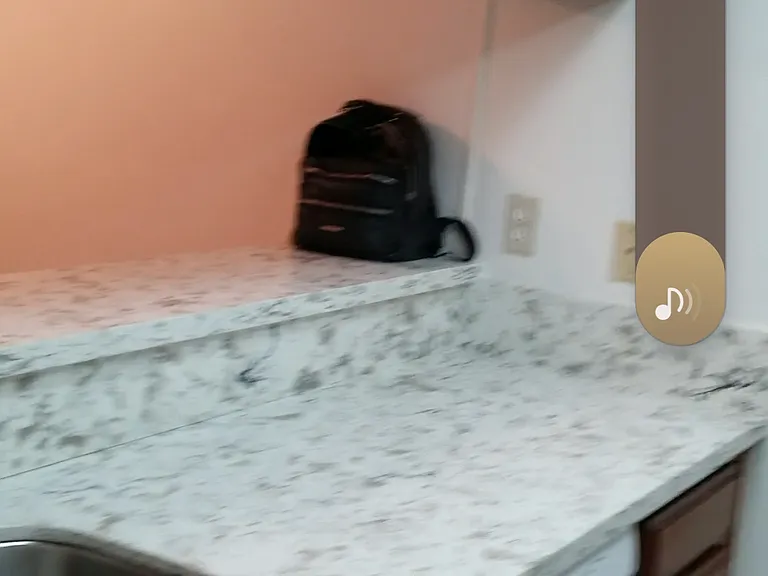 325 Coral Reef Dr — Photo 23