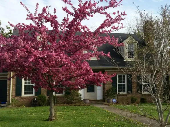 1020 Cool Water Ct, Lexington, KY 40515