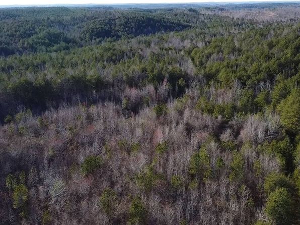 0 County Road 66, Eldridge, AL 35554