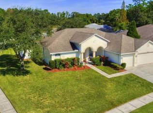 12541 Leatherleaf Dr, Tampa, FL 33626