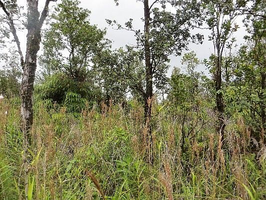 5th image of Menpachi St Lot 16
