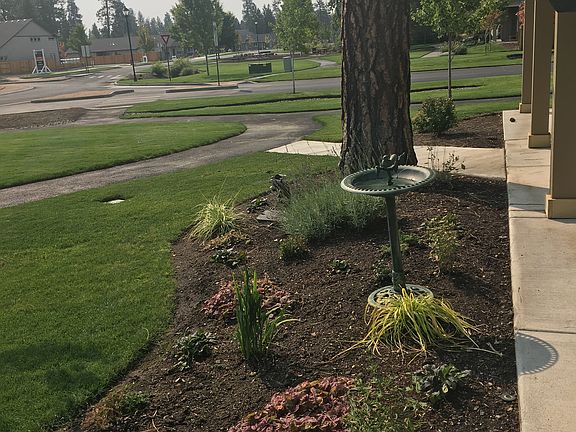 Front patio garden